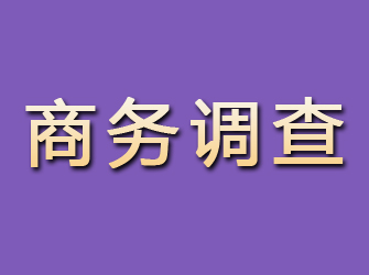 乌伊岭商务调查